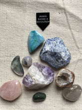 Load image into Gallery viewer, mama raised a revolution pin by rayo & honey