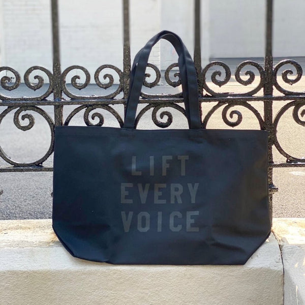EV Electro-Voice Tote Bag for EVERSE 8 Weatherized Battery-Powered Speaker  | eBay