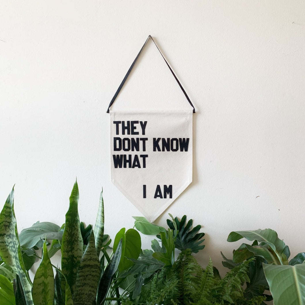 they dont know what i am by rayo & honey