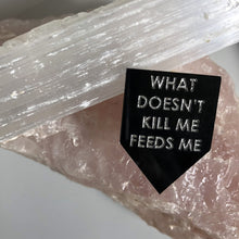 Load image into Gallery viewer, what doesn&#39;t kill me feeds me pin by rayo &amp; honey
